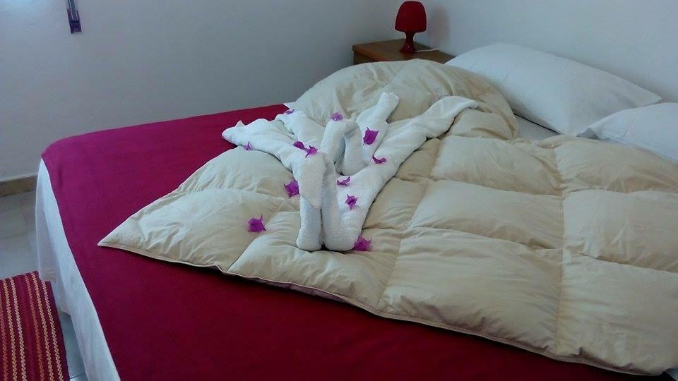 La Salina Daire LMP Oda fotoğraf